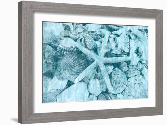 East Coast Shells II-Jairo Rodriguez-Framed Art Print