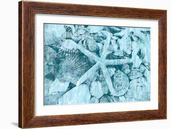 East Coast Shells II-Jairo Rodriguez-Framed Art Print