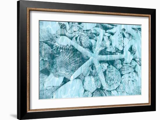 East Coast Shells II-Jairo Rodriguez-Framed Art Print