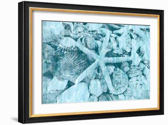 East Coast Shells II-Jairo Rodriguez-Framed Art Print