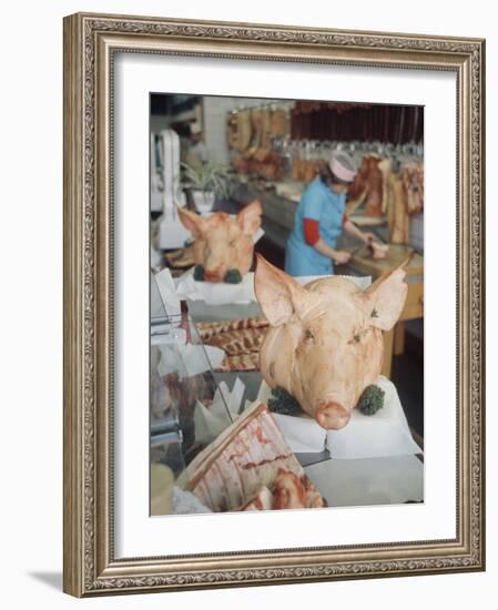 East German Butcher Shop, Displaying Whole Pigs Heads-Ralph Crane-Framed Photographic Print