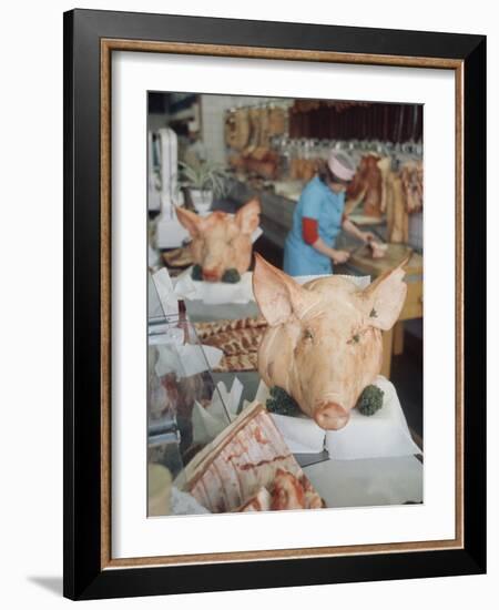 East German Butcher Shop, Displaying Whole Pigs Heads-Ralph Crane-Framed Photographic Print