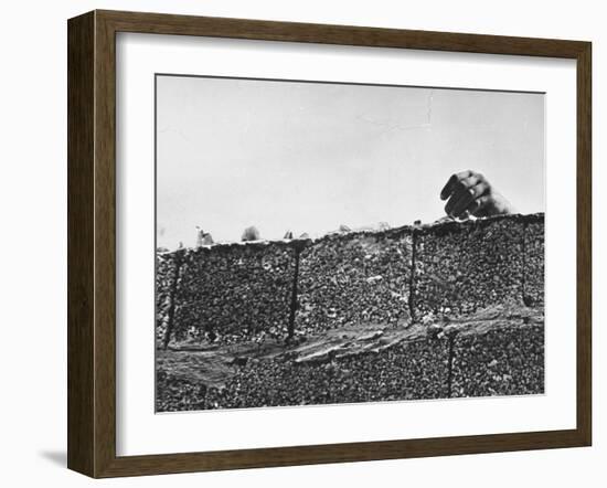 East German's Hand Reaching Over Glass Shards Embedded in Top of the Newly Constructed Berlin Wall-Paul Schutzer-Framed Photographic Print