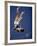 East Germany's Wolfgang Nordwig in Action During Pole Vaulting Event at the Summer Olympics-John Dominis-Framed Premium Photographic Print