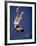 East Germany's Wolfgang Nordwig in Action During Pole Vaulting Event at the Summer Olympics-John Dominis-Framed Premium Photographic Print