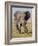 East Kenya, Amboseli National Park, Elephant (Loxodanta Africana)-Alison Jones-Framed Photographic Print