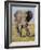 East Kenya, Amboseli National Park, Elephant (Loxodanta Africana)-Alison Jones-Framed Photographic Print