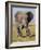 East Kenya, Amboseli National Park, Elephant (Loxodanta Africana)-Alison Jones-Framed Photographic Print