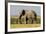 East Kenya, Amboseli National Park, Elephant (Loxodanta Africana)-Alison Jones-Framed Photographic Print