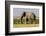 East Kenya, Amboseli National Park, Elephant (Loxodanta Africana)-Alison Jones-Framed Photographic Print