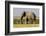 East Kenya, Amboseli National Park, Elephant (Loxodanta Africana)-Alison Jones-Framed Photographic Print