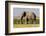 East Kenya, Amboseli National Park, Elephant (Loxodanta Africana)-Alison Jones-Framed Photographic Print