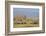 East Kenya, Amboseli National Park, Elephant (Loxodanta Africana)-Alison Jones-Framed Photographic Print