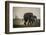 East Kenya, Amboseli National Park, Elephant (Loxodanta Africana)-Alison Jones-Framed Photographic Print