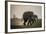 East Kenya, Amboseli National Park, Elephant (Loxodanta Africana)-Alison Jones-Framed Photographic Print