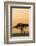 East Kenya, Amboseli NP, Sunset, Acacia Tree with Weaver Nests-Alison Jones-Framed Photographic Print