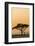 East Kenya, Amboseli NP, Sunset, Acacia Tree with Weaver Nests-Alison Jones-Framed Photographic Print