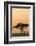 East Kenya, Amboseli NP, Sunset, Acacia Tree with Weaver Nests-Alison Jones-Framed Photographic Print