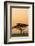 East Kenya, Amboseli NP, Sunset, Acacia Tree with Weaver Nests-Alison Jones-Framed Photographic Print