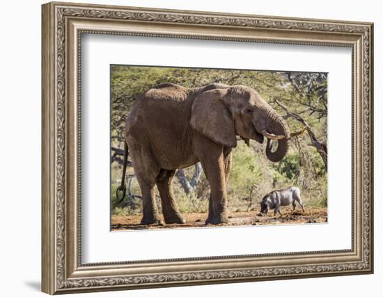 East Kenya, Chyulu Hills, Old Donyo Wuas Lodge, Mbirikani-Alison Jones-Framed Photographic Print