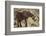 East Kenya, Chyulu Hills, Old Donyo Wuas Lodge, Mbirikani-Alison Jones-Framed Photographic Print