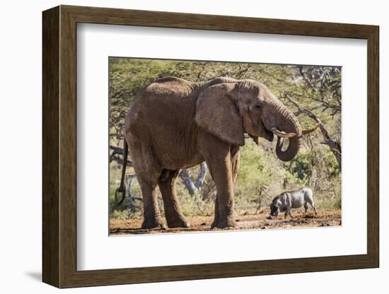 East Kenya, Chyulu Hills, Old Donyo Wuas Lodge, Mbirikani-Alison Jones-Framed Photographic Print