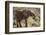 East Kenya, Chyulu Hills, Old Donyo Wuas Lodge, Mbirikani-Alison Jones-Framed Photographic Print