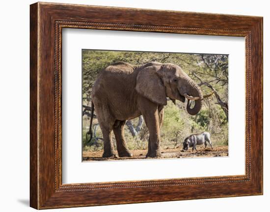 East Kenya, Chyulu Hills, Old Donyo Wuas Lodge, Mbirikani-Alison Jones-Framed Photographic Print