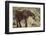 East Kenya, Chyulu Hills, Old Donyo Wuas Lodge, Mbirikani-Alison Jones-Framed Photographic Print