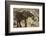 East Kenya, Chyulu Hills, Old Donyo Wuas Lodge, Mbirikani-Alison Jones-Framed Photographic Print