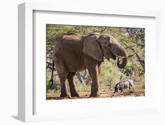 East Kenya, Chyulu Hills, Old Donyo Wuas Lodge, Mbirikani-Alison Jones-Framed Photographic Print