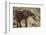 East Kenya, Chyulu Hills, Old Donyo Wuas Lodge, Mbirikani-Alison Jones-Framed Photographic Print