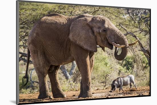 East Kenya, Chyulu Hills, Old Donyo Wuas Lodge, Mbirikani-Alison Jones-Mounted Photographic Print