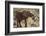 East Kenya, Chyulu Hills, Old Donyo Wuas Lodge, Mbirikani-Alison Jones-Framed Photographic Print