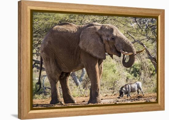 East Kenya, Chyulu Hills, Old Donyo Wuas Lodge, Mbirikani-Alison Jones-Framed Premier Image Canvas