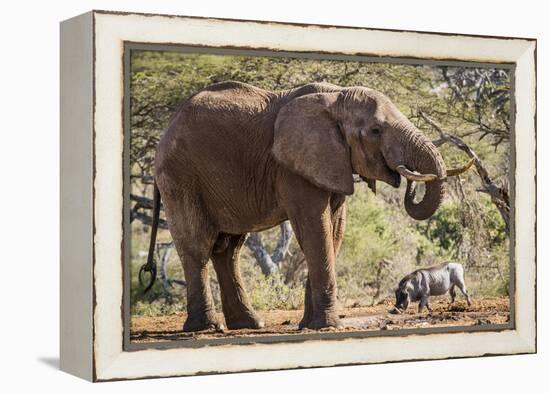 East Kenya, Chyulu Hills, Old Donyo Wuas Lodge, Mbirikani-Alison Jones-Framed Premier Image Canvas