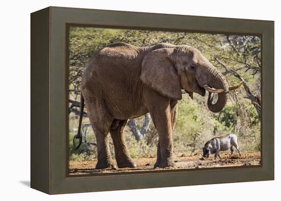 East Kenya, Chyulu Hills, Old Donyo Wuas Lodge, Mbirikani-Alison Jones-Framed Premier Image Canvas