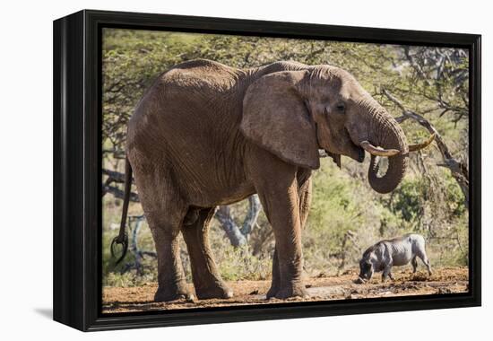 East Kenya, Chyulu Hills, Old Donyo Wuas Lodge, Mbirikani-Alison Jones-Framed Premier Image Canvas