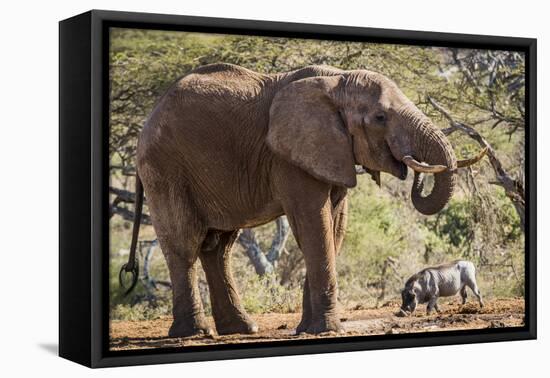 East Kenya, Chyulu Hills, Old Donyo Wuas Lodge, Mbirikani-Alison Jones-Framed Premier Image Canvas