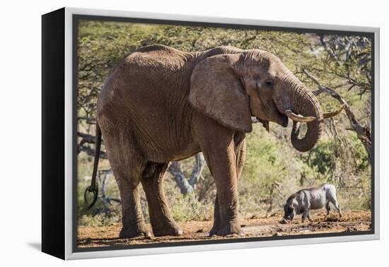 East Kenya, Chyulu Hills, Old Donyo Wuas Lodge, Mbirikani-Alison Jones-Framed Premier Image Canvas