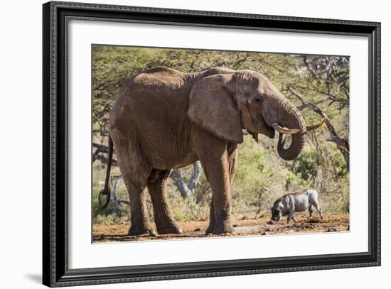 East Kenya, Chyulu Hills, Old Donyo Wuas Lodge, Mbirikani-Alison Jones-Framed Photographic Print