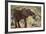 East Kenya, Chyulu Hills, Old Donyo Wuas Lodge, Mbirikani-Alison Jones-Framed Photographic Print