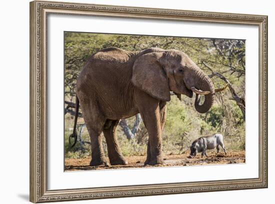 East Kenya, Chyulu Hills, Old Donyo Wuas Lodge, Mbirikani-Alison Jones-Framed Photographic Print