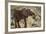 East Kenya, Chyulu Hills, Old Donyo Wuas Lodge, Mbirikani-Alison Jones-Framed Photographic Print