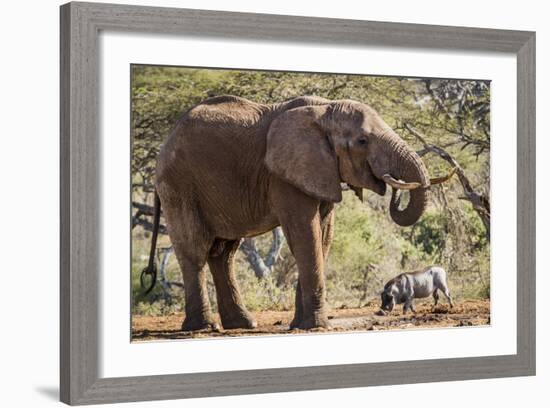 East Kenya, Chyulu Hills, Old Donyo Wuas Lodge, Mbirikani-Alison Jones-Framed Photographic Print