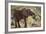 East Kenya, Chyulu Hills, Old Donyo Wuas Lodge, Mbirikani-Alison Jones-Framed Photographic Print