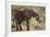 East Kenya, Chyulu Hills, Old Donyo Wuas Lodge, Mbirikani-Alison Jones-Framed Photographic Print