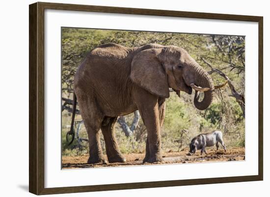 East Kenya, Chyulu Hills, Old Donyo Wuas Lodge, Mbirikani-Alison Jones-Framed Photographic Print