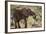 East Kenya, Chyulu Hills, Old Donyo Wuas Lodge, Mbirikani-Alison Jones-Framed Photographic Print