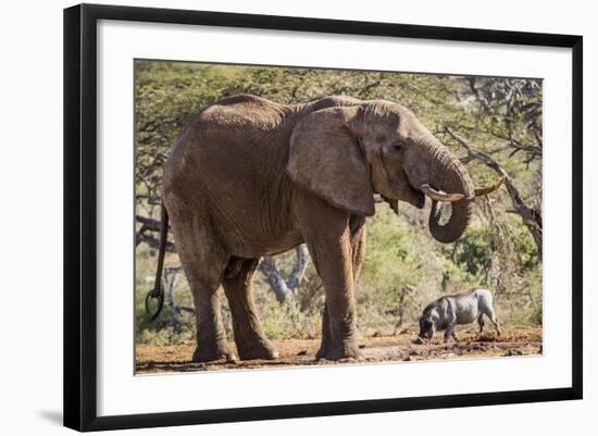 East Kenya, Chyulu Hills, Old Donyo Wuas Lodge, Mbirikani-Alison Jones-Framed Photographic Print